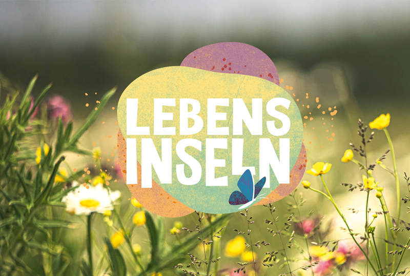 Hier gehts zum Lebensinsel-Projekt